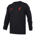 Nike Liverpool Travel Sweatshirt DC2298-010