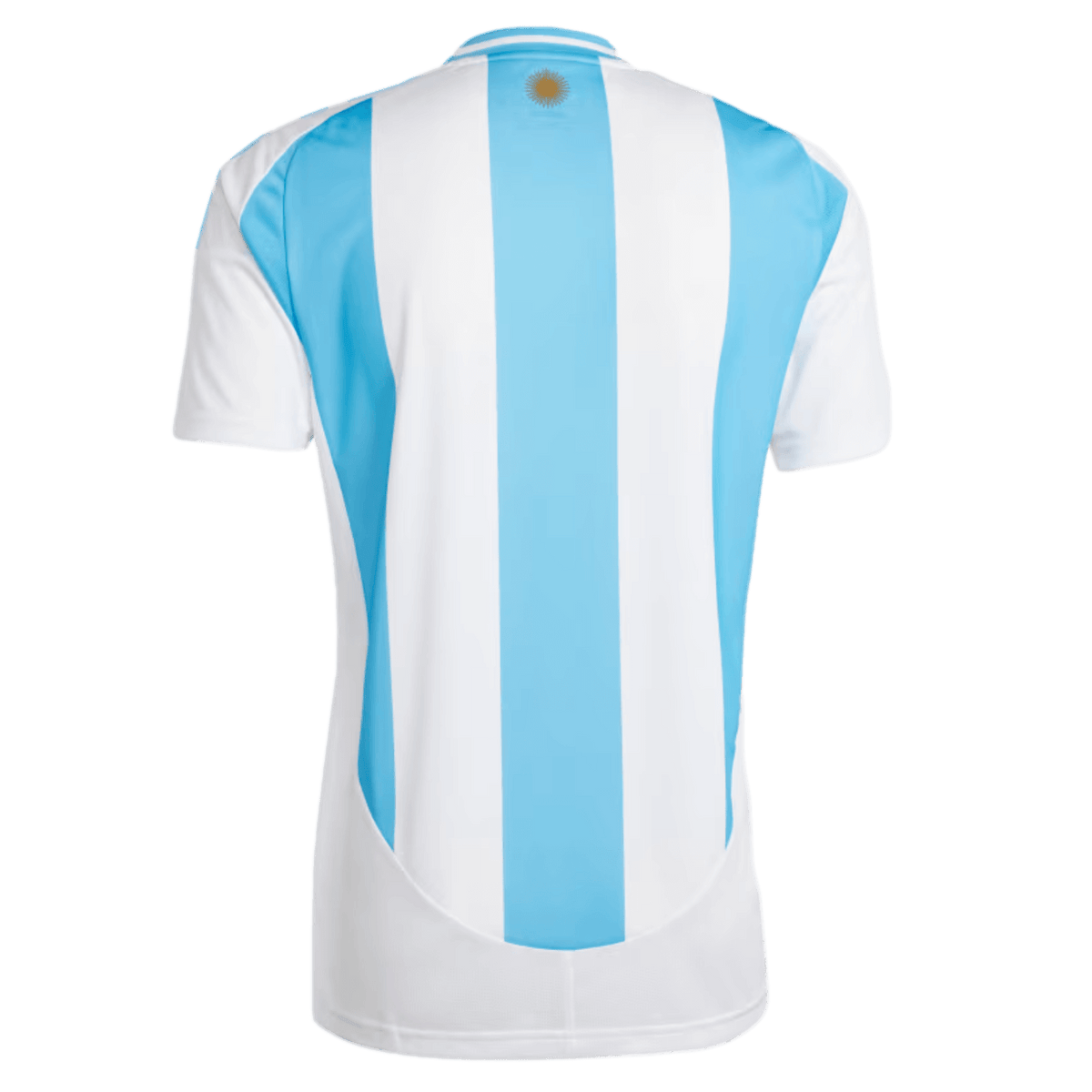 Argentina 2025 Home Authentic Jersey