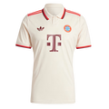 Adidas Bayern Munich 24/25 Third Jersey IZ3129